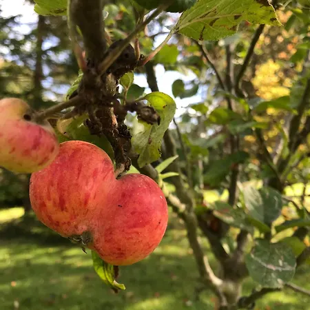 Rouge 4 Etoiles Billard Casa de Férias Gueutteville-les-Gres