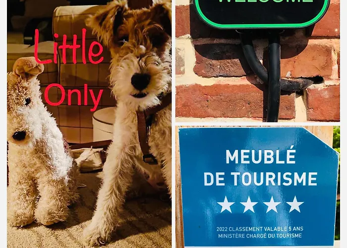 Rouge 4 Etoiles Billard Gueutteville-les-Gres